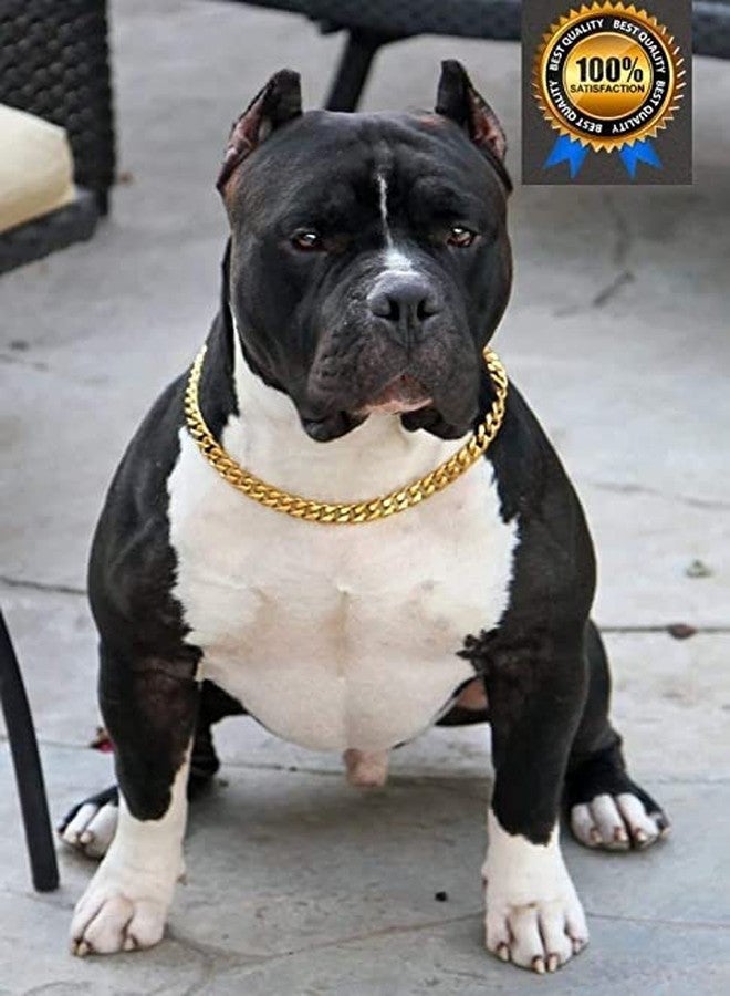 Pups&Pets طوق تدريب الكلاب من النحاس الأصفر من Pups&Pets، طوق تدريب متين للغاية بتصميم ماسي ذهبي لجميع سلالات الكلاب - (السماكة - 5 مم، الطول 30 بوصة - مقاس كبير جدًا) - Image 5